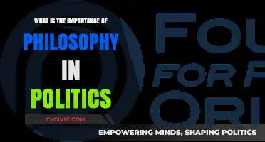 Philosophical Foundations: The Cornerstone of Political Thought and Action