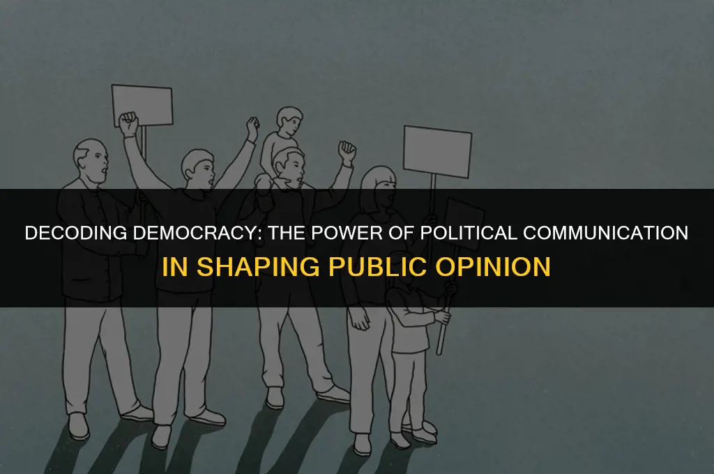 what is the importance of political communication