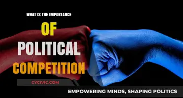 The Vital Role of Political Competition in Shaping Democratic Societies