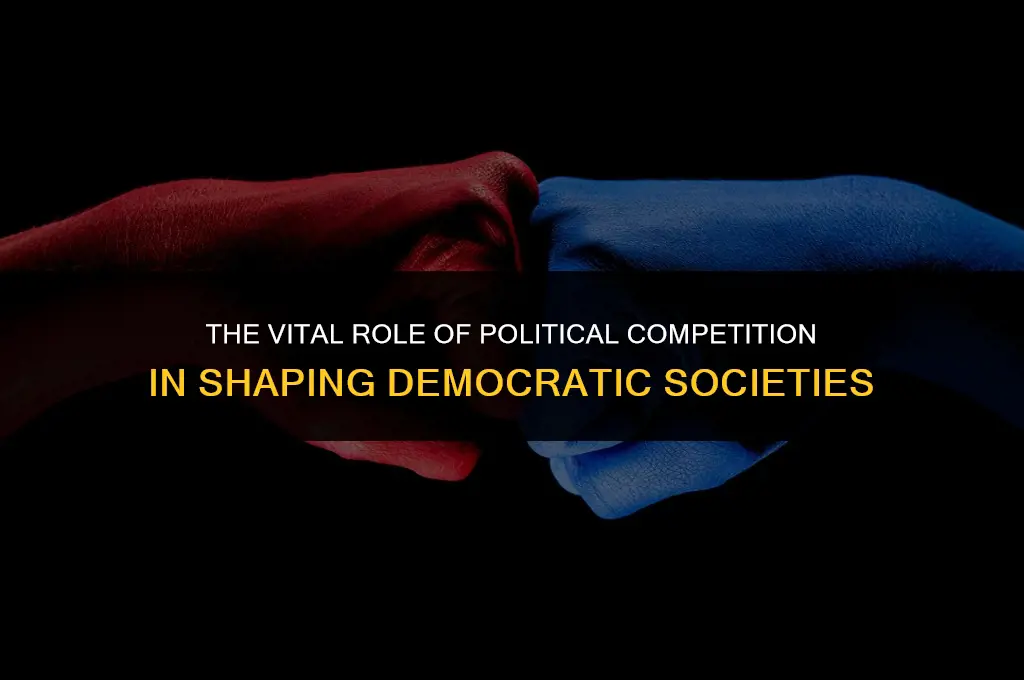 what is the importance of political competition