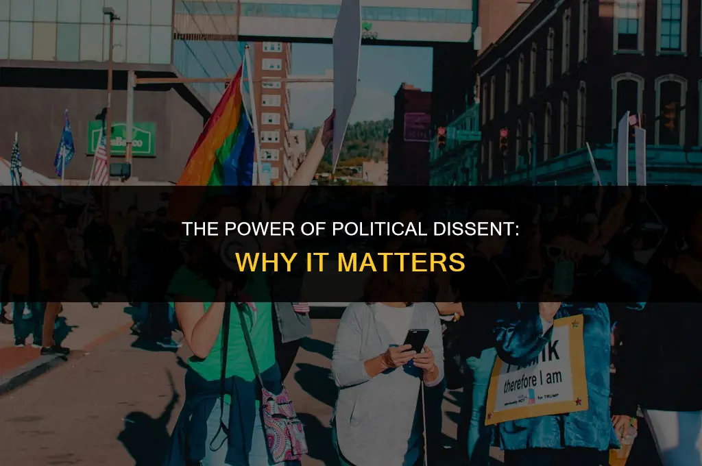 what is the importance of political dissent