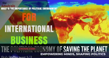 Navigating Global Markets: The Crucial Role of Political Climate