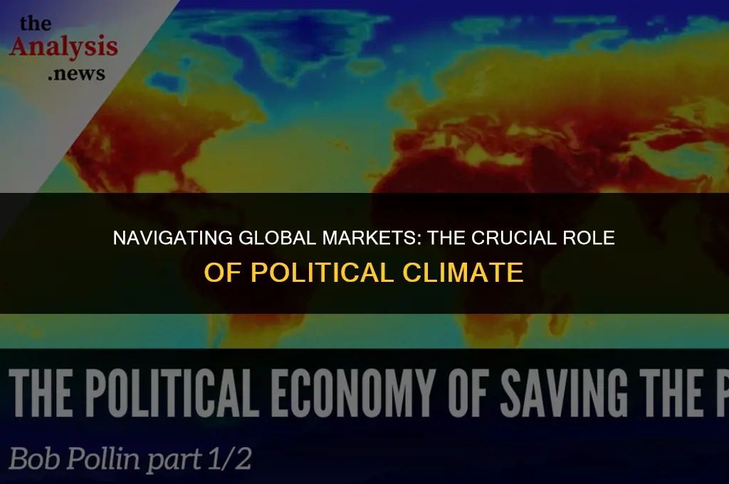 what is the importance of political environment for international business