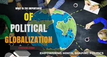 The Vital Role of Political Globalization in Today's Interconnected World