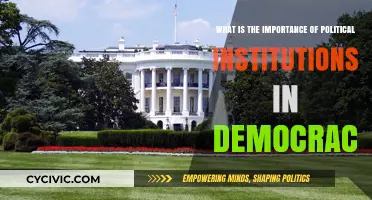 The Vital Role of Political Institutions in Upholding Democracy