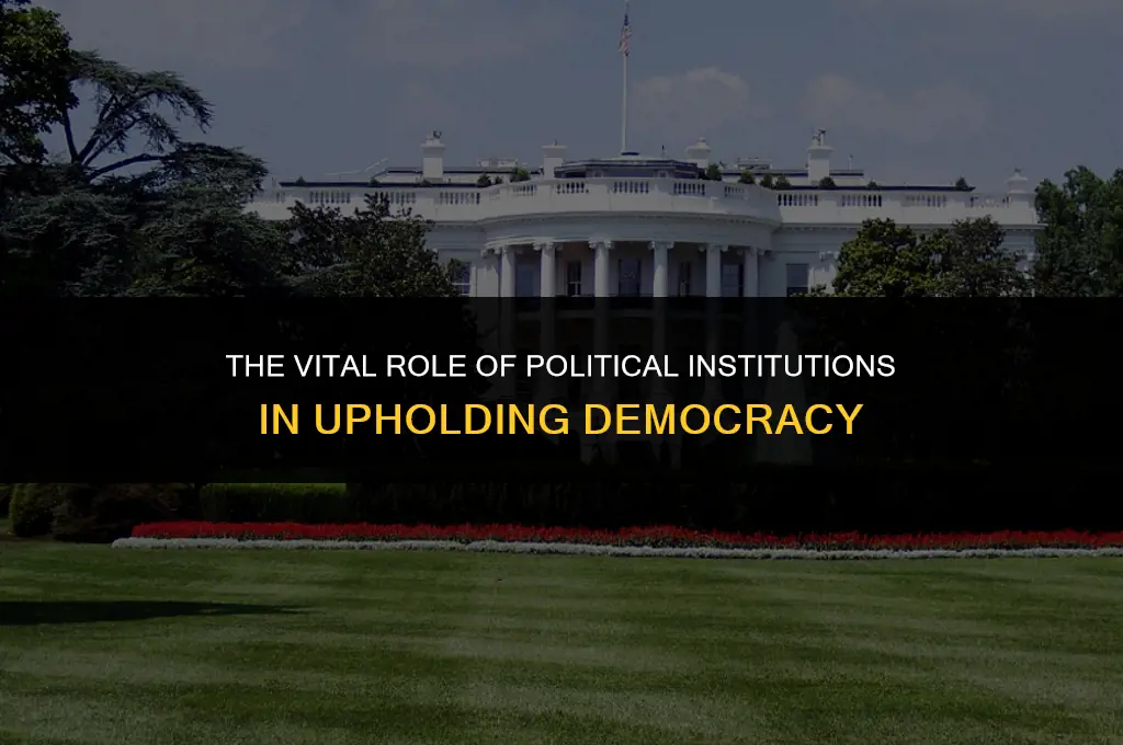 what is the importance of political institutions in democracy
