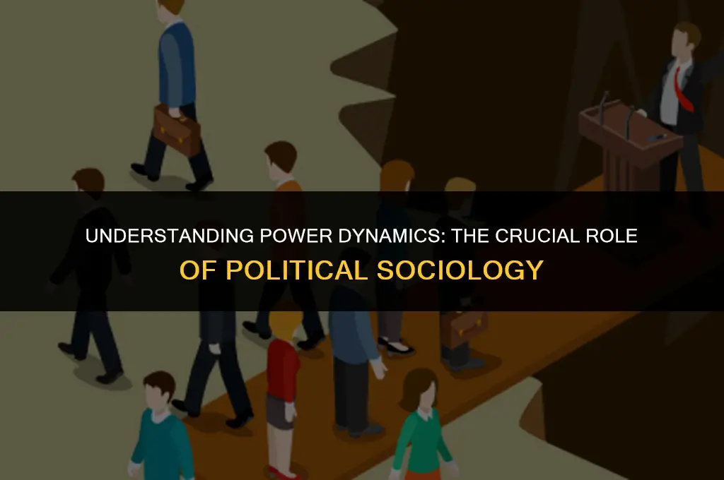 what is the importance of political sociology