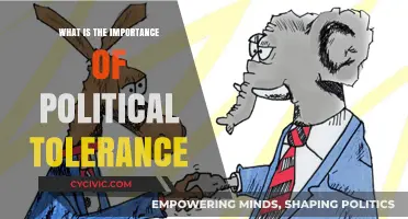 Embracing Diversity in Democracy: The Vital Role of Political Tolerance