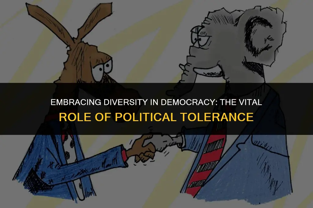 what is the importance of political tolerance