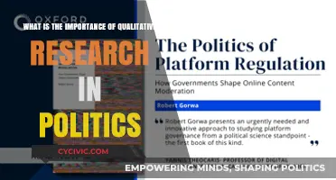 Unveiling the Depths: Qualitative Research in Political Analysis