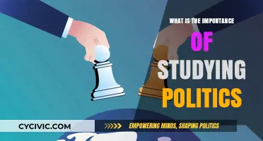 Understanding Power Dynamics: Why Studying Politics Matters