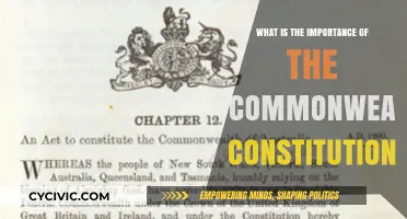 Commonwealth Constitution: Foundation of Our Freedom