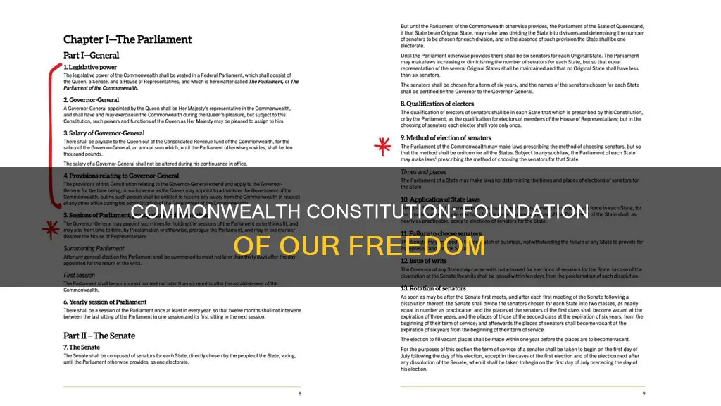 what is the importance of the commonwealth constitution