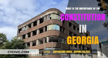 Georgia's Constitution: Foundation for Democracy and Rights