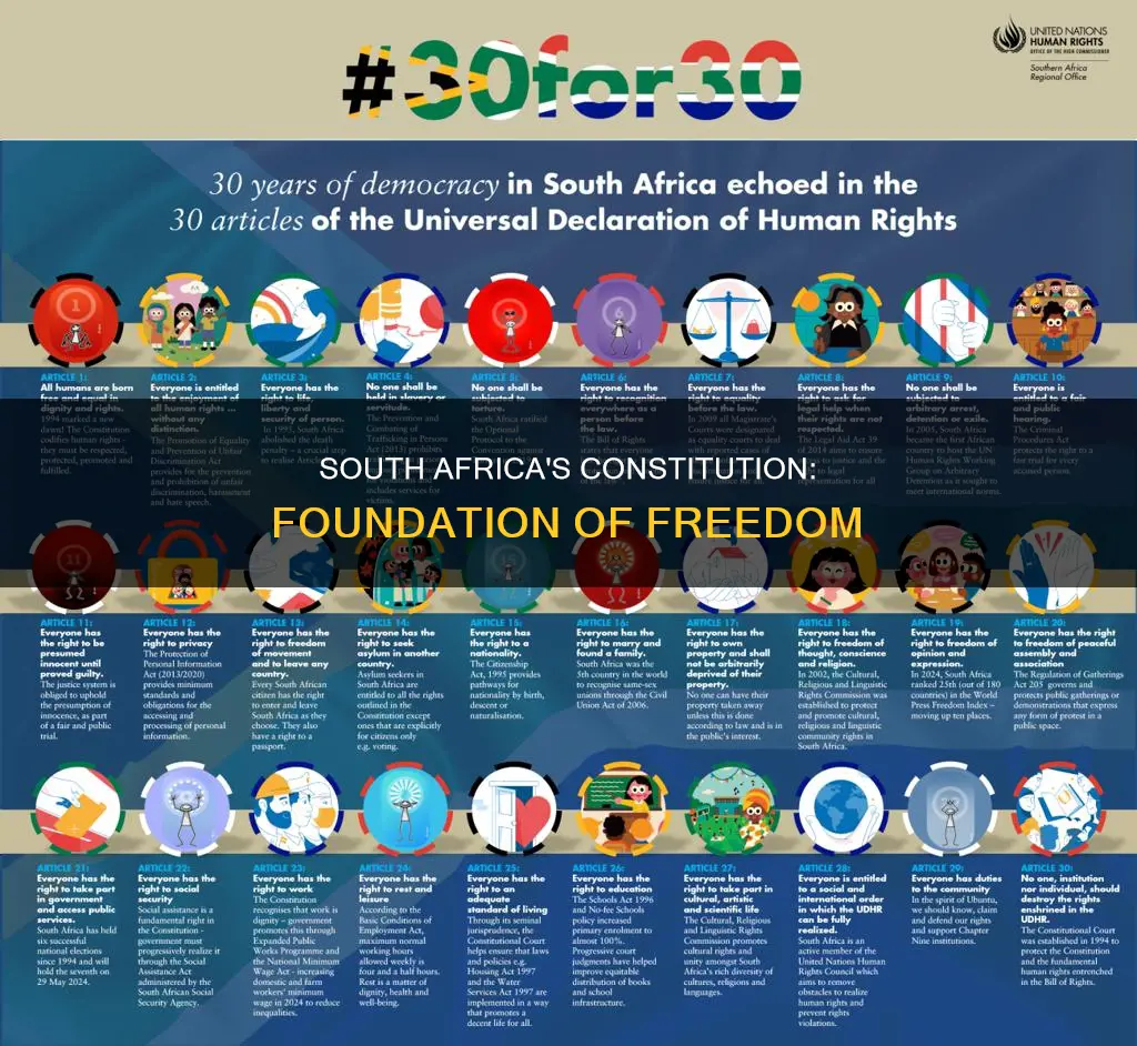 what is the importance of the constitution of south africa