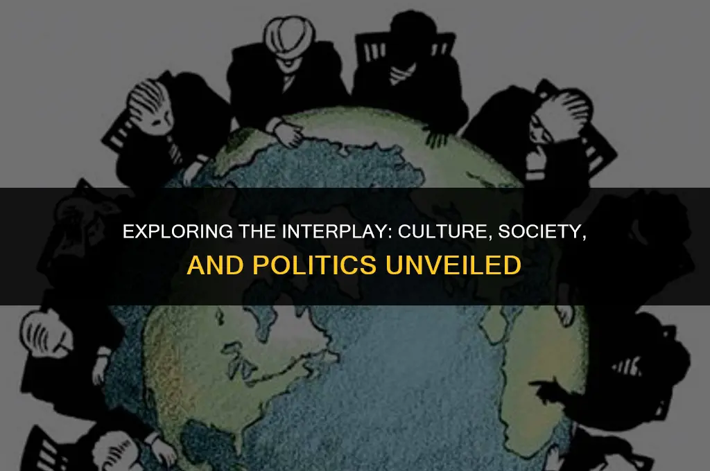 what is the importance of understanding culture society and politics