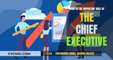 Executive Leadership: Chief's Role and Responsibilities