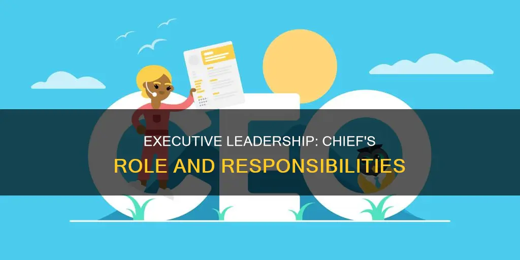 what is the important role of the chief executive