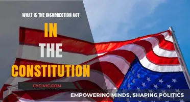Insurrection Act: When Can the US President Use It?