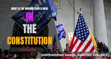 Insurrection Clause: Understanding the Constitution's Power Provision
