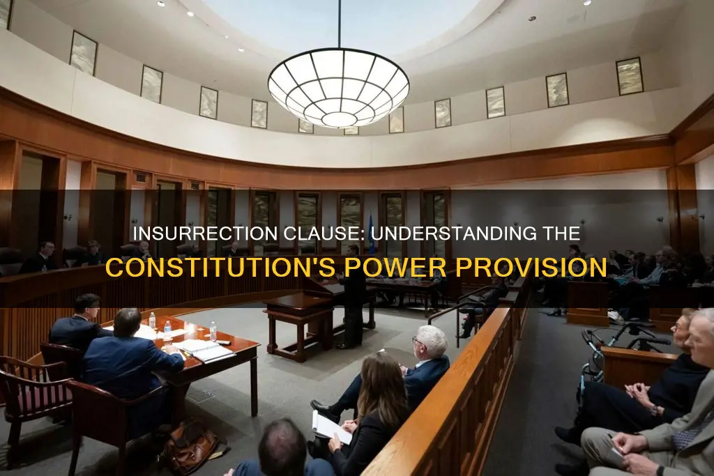 what is the insurrection clause in the constitution