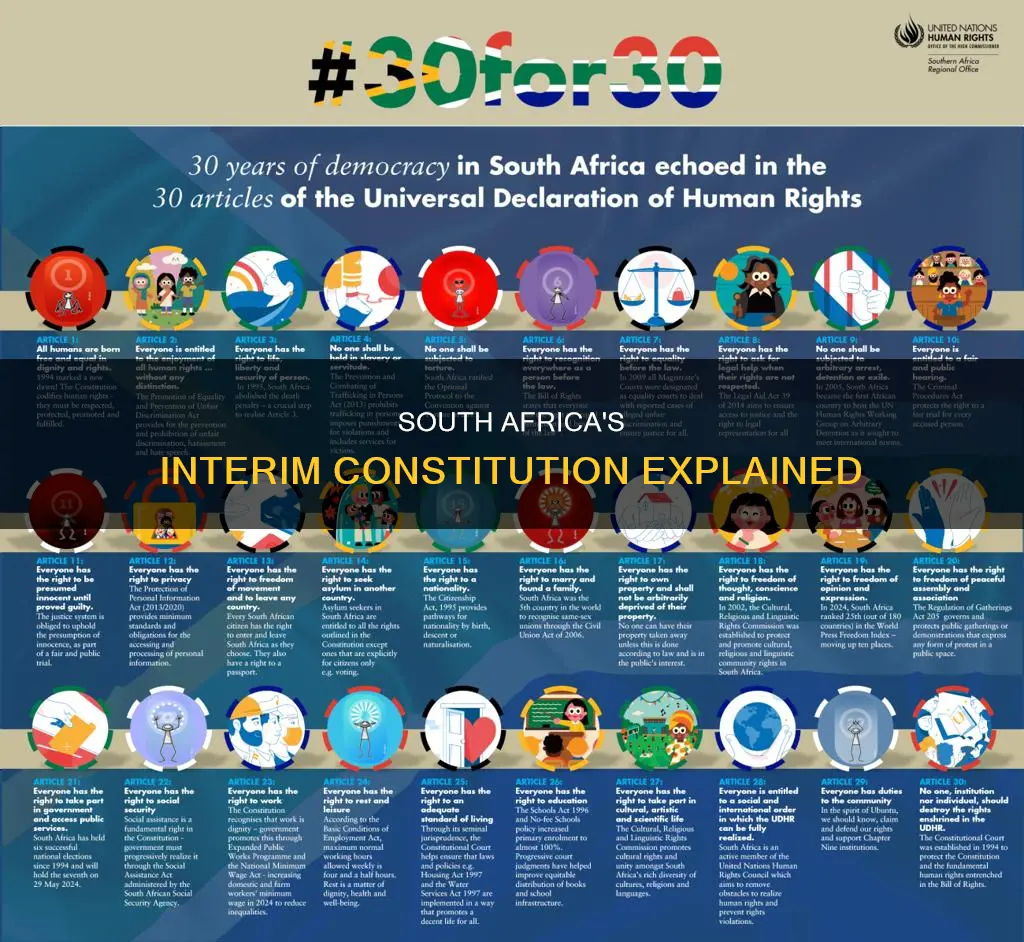 what is the interim constitution of south africa