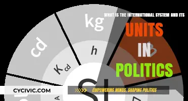 Exploring the International System: Units and Dynamics in Global Politics