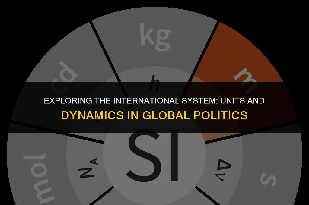 what is the international system and its units in politics