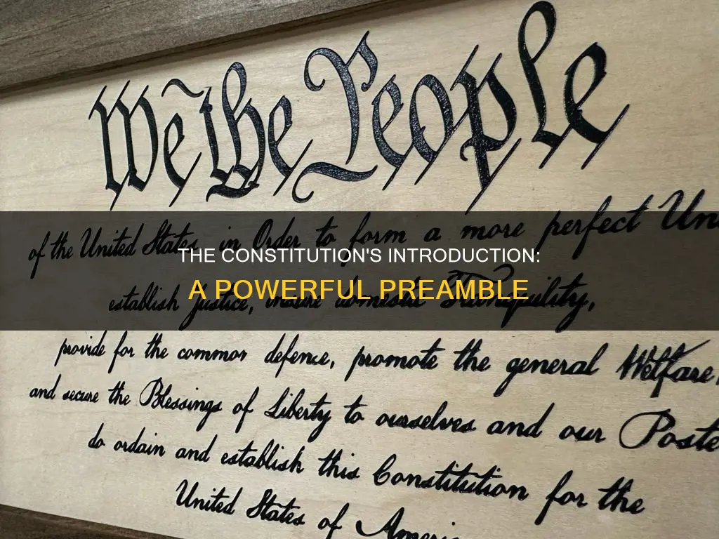 what is the intro of the constitution called