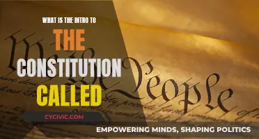 The Constitution's Introduction: What's It Called?