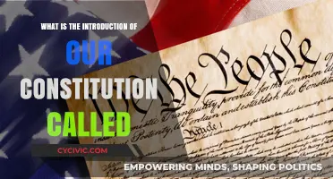 The Constitution's Introduction: A Foundation for Freedom