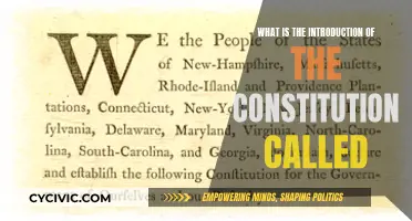 The Constitution's Intriguing Prelude: What's It Called?