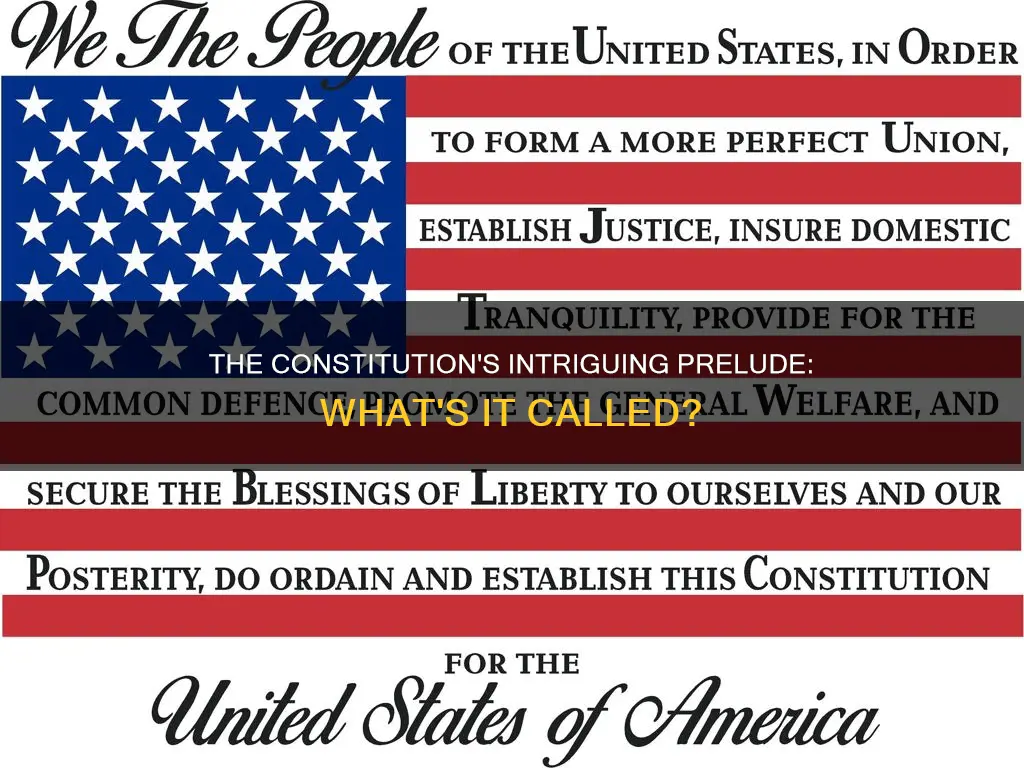 what is the introduction of the constitution called