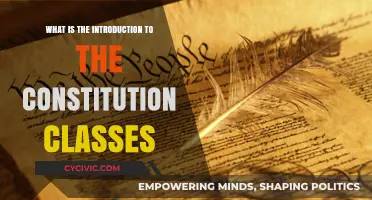 Introduction to the Constitution: Understanding the Basics