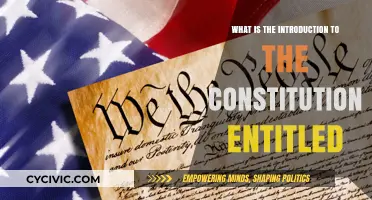 The Constitution's Introduction: Understanding "We the People