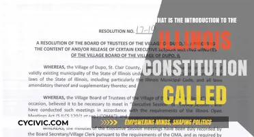 Illinois Constitution: Understanding the Preamble