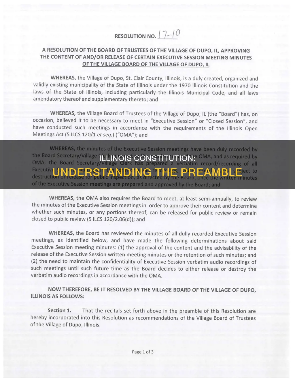 what is the introduction to the illinois constitution called