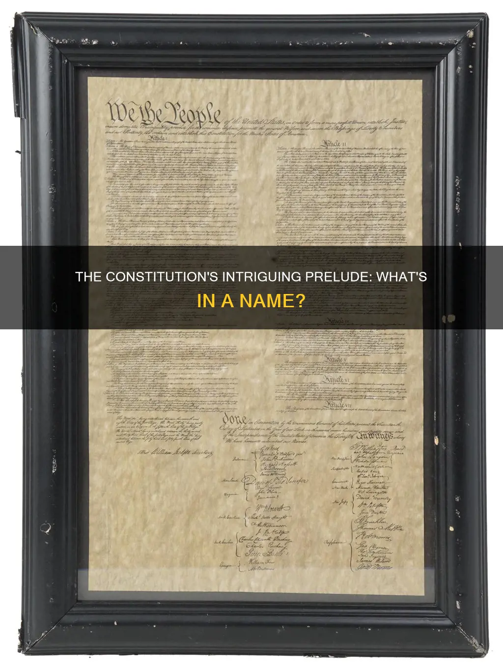 what is the introductory part of the constitution called