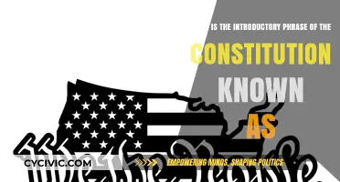 The Constitution's Introductory Phrase: A Powerful [Phrase]