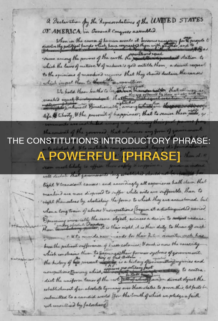 what is the introductory phrase of the constitution known as