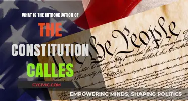 The Constitution's Introduction: What's It Called?