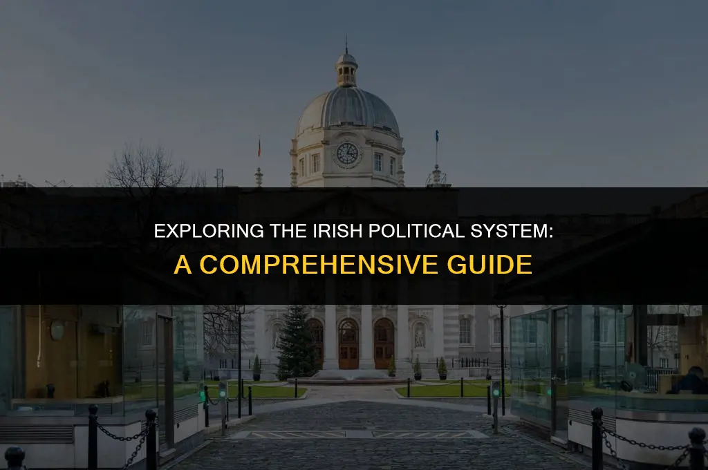 what is the irish political system