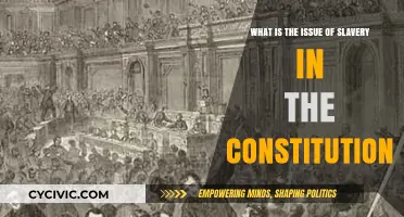 The Constitution's Slavery Stigma
