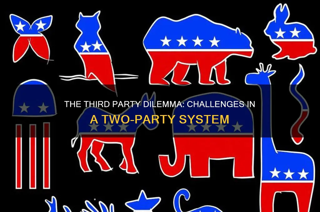 what is the issue with having a third political party