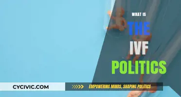 IVF Politics: Navigating Ethics, Access, and Reproductive Rights Debates
