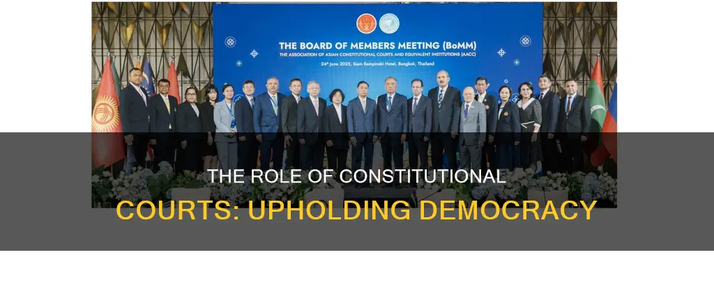 what is the job of the constitutional courts