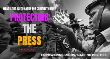 The Press: Why Constitutional Protection is Essential