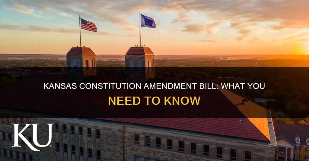 what is the kansas constitution amendment bill