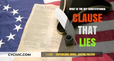 The Heart of the Constitution: Lies and Deceptions