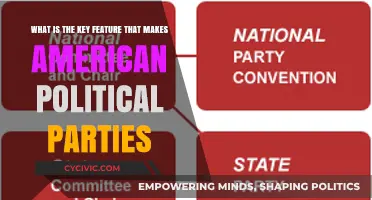 The Unique Ideological Flexibility Defining American Political Parties